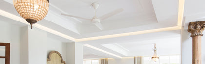 Ceiling Fans with Lights