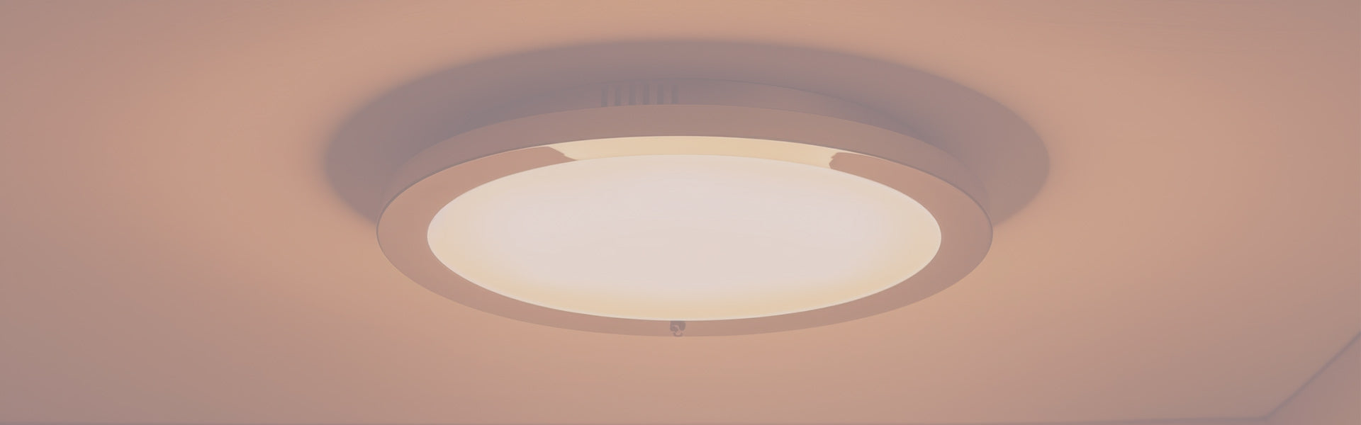 Flush Mount Ceiling Lights