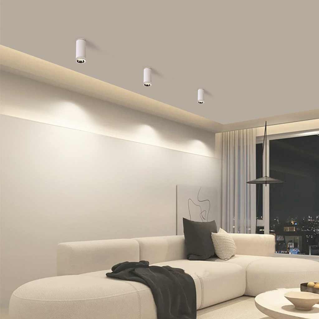 Ceiling Downlight Spotlight Living Room