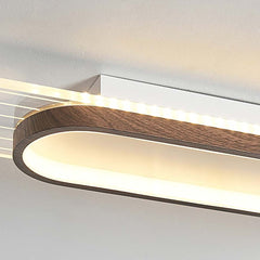 Ceiling Wall Light Oval Linear LED Detail
