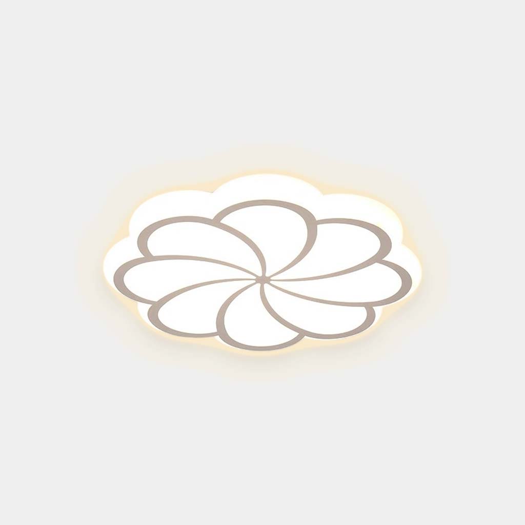 Flush Mount Ceiling Light Decorative Flower