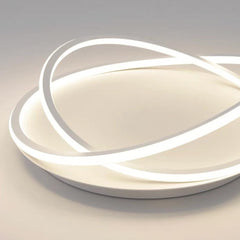 Flush Mount Ceiling Light Modern Ring